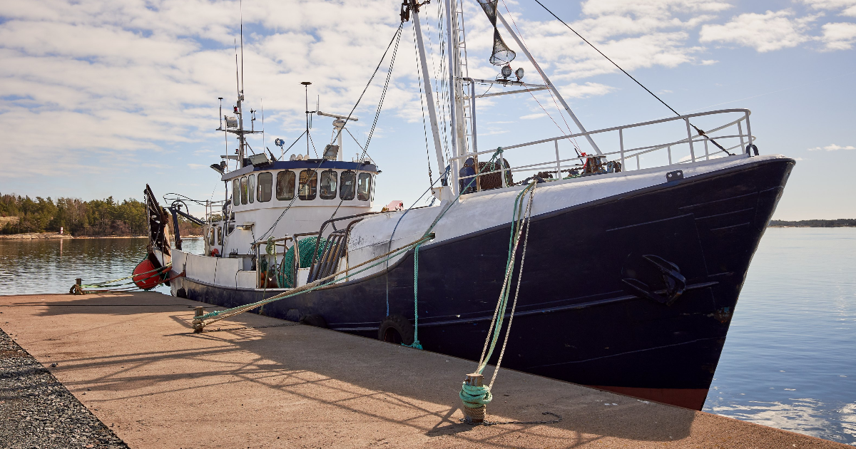 (Photo: Teemu Tretjakov / Shutterstock)