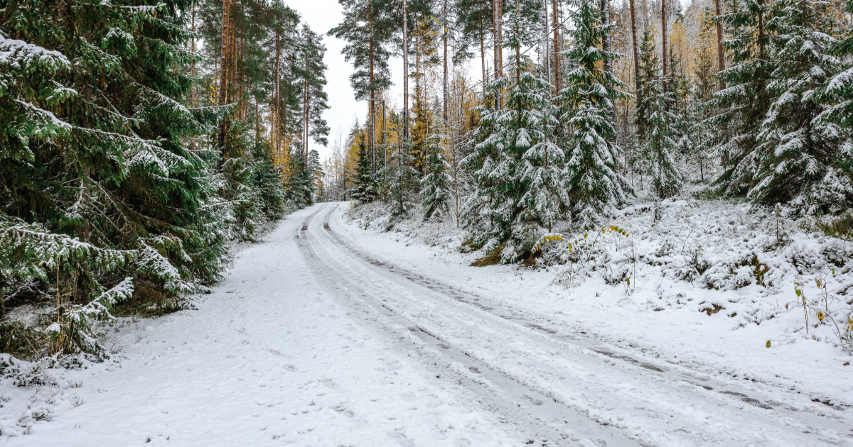 Bild: Shutterstock