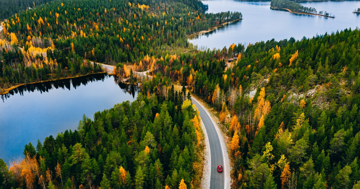 Maantie ilmakuvassa ruskamaisemassa (Kuva: Shutterstock)