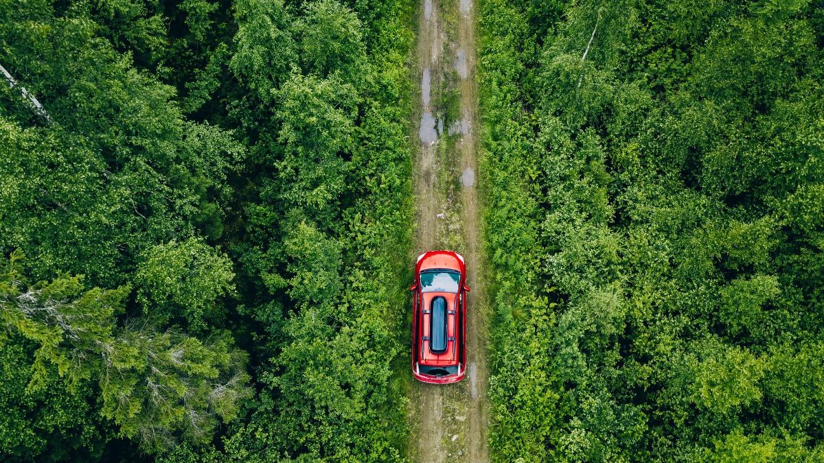 Punainen auto vihreän metsän keskellä kulkevalla pikkutiellä ilmakuvassa.