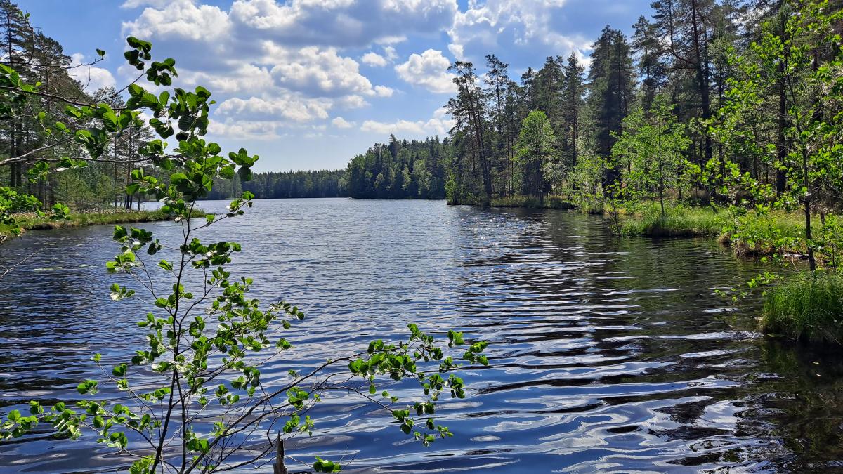 Suomalainen järvimaisema