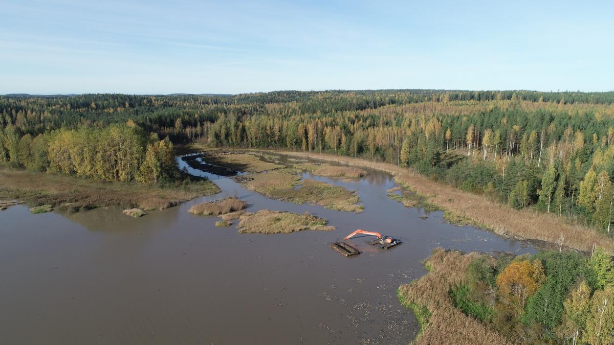 Kuva Ansiojärven kunnostustoimista