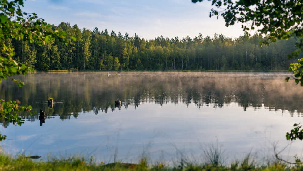 Kuvassa kesäinen järvimaisema