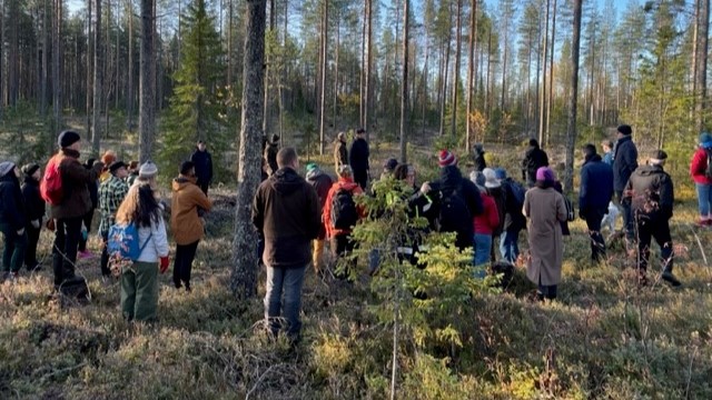 The Northern Forest Forum