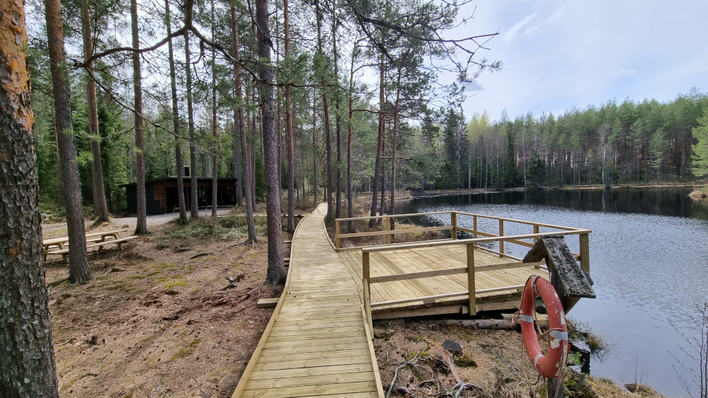 Evolla rannassa rakennettu laituri, metsää