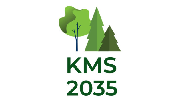 Kansallisen metsästrategian 2035 tunnuskuva