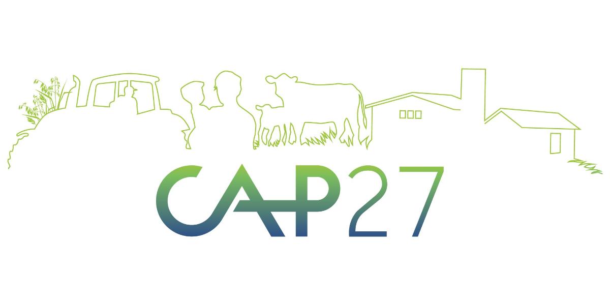 CAP27-logo