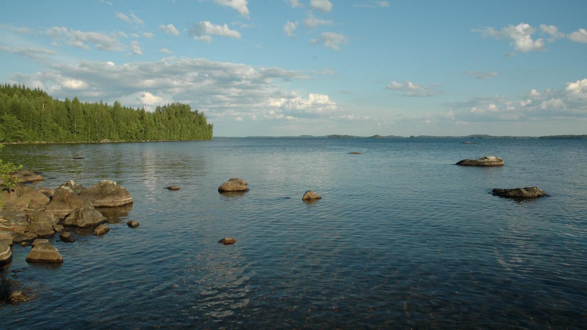 Järvimaisema.