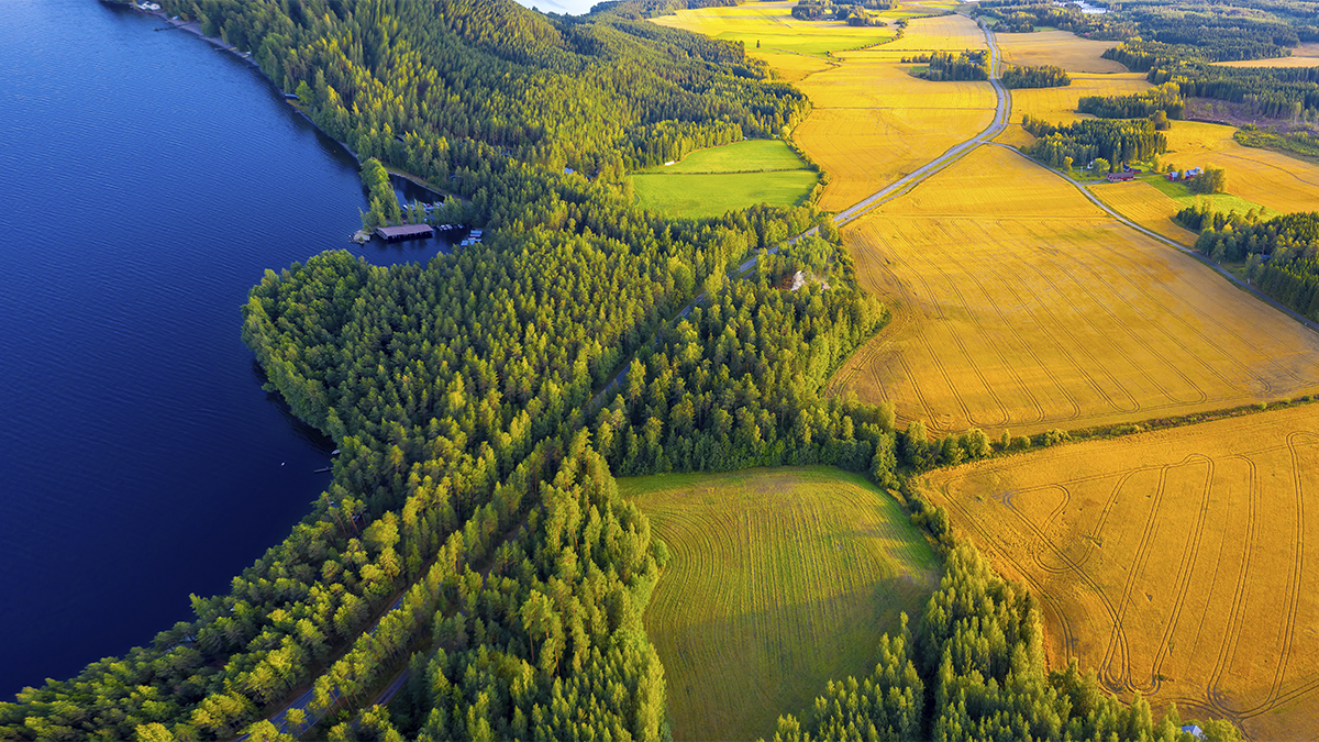 syksyinen maisema, jossa on järvi ja peltoja