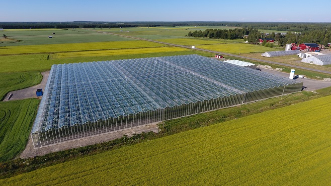 Etelä-Suomen kasvihuonetuet vuodelle 2021 vahvistettiin