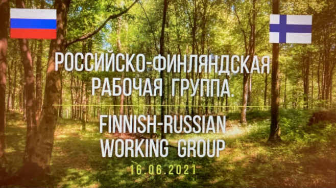 Otsikkodia yhteistyökokouksesta, webinaarin nimi ja molempien maiden liput