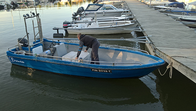 Kello kuusi lähdimme kalastaja Jarno Aaltosen kanssa merelle Rauman edustalle.