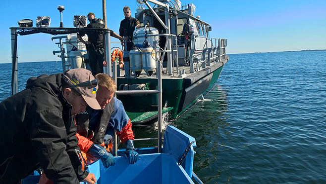 Rajavartiolaitos ja ELY-keskus saapuivat kalastusta valvomaan.