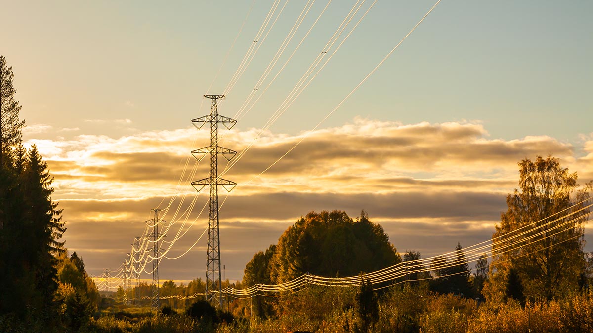 Electric line in the forest landscape, sunshine.