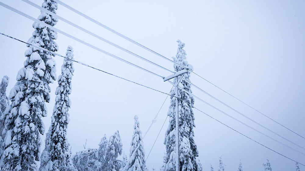 kuva sähkölinjasta talvella