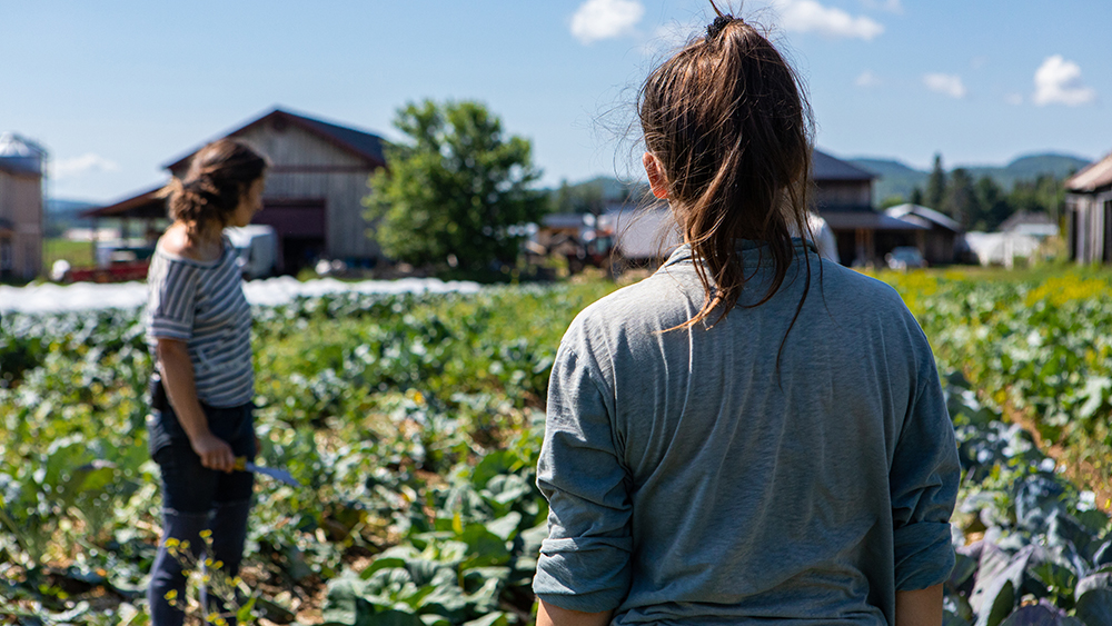 Improvements to seasonal workers’ right to change employers and to