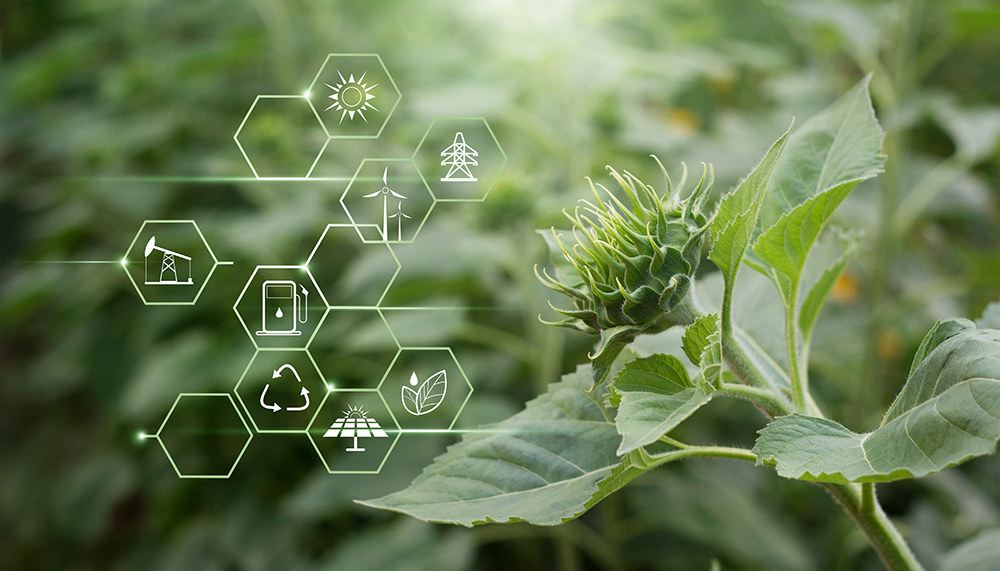 Piirros vihreistä energiamuodoista