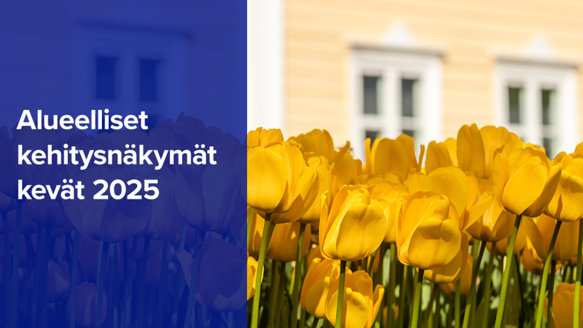 Alueelliset kehitysnäkymät keväällä 2025.