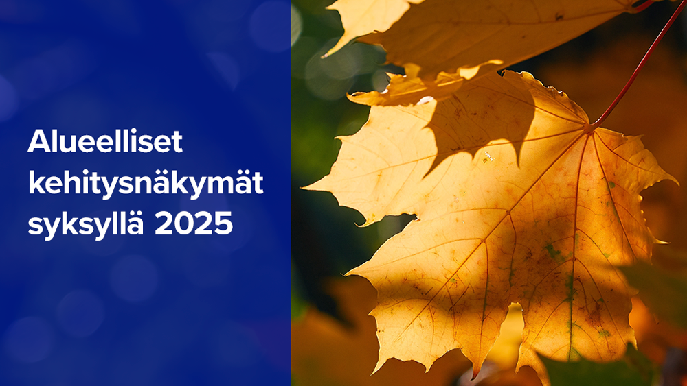 Alueelliset kehitysnäkymät syksyllä 2025