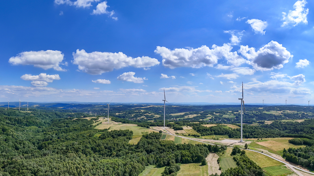 Wind farm in the forest