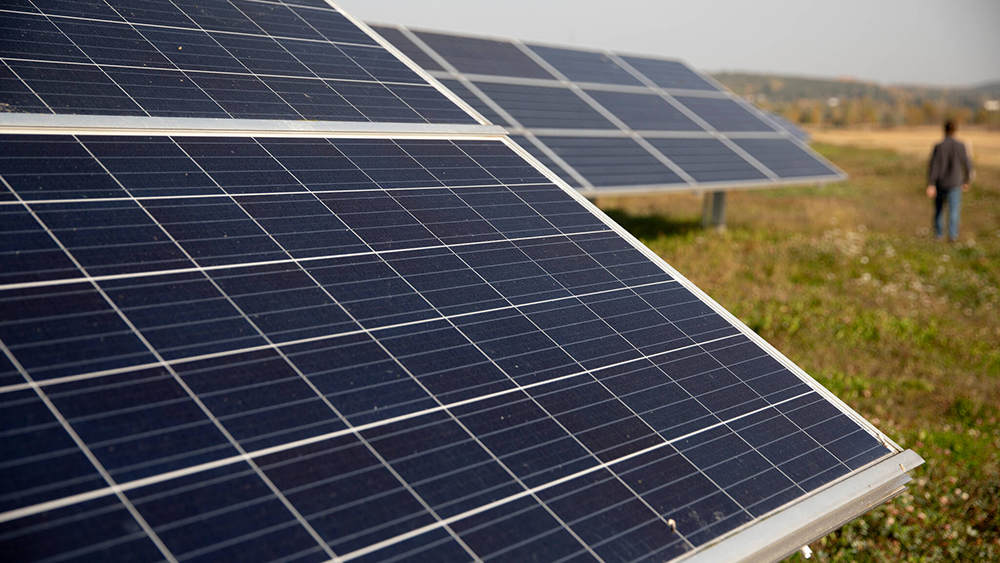 Solar panels in a meadow