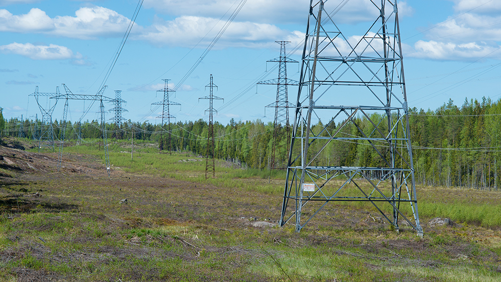 Sähkölinja suomaisemassa
