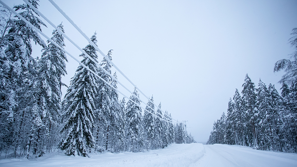 Sähköjohdot lumisen tien varrella