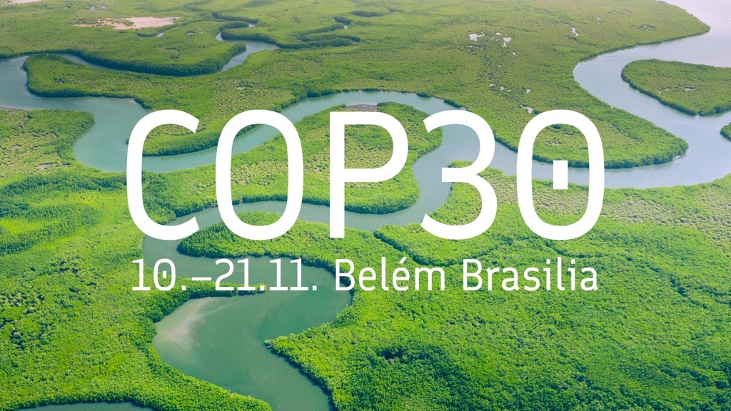 Flygfoto över en regnskog med texten 