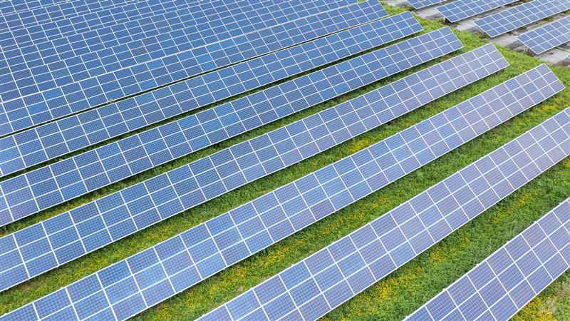 Aurinkopaneeleja pellolla