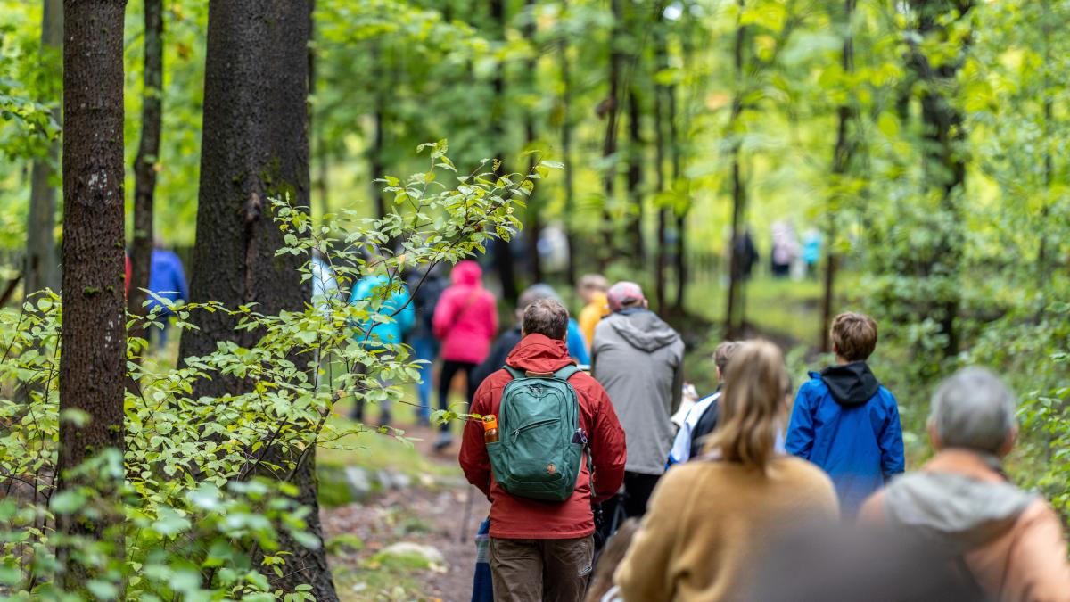ihmiset kävelevät metsässä. kuvassa näkyy ihmisten selät ja ympärillä vihreä lehtimetsä.