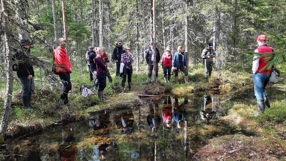 Vesistökunnostajia lammen ympärillä.
