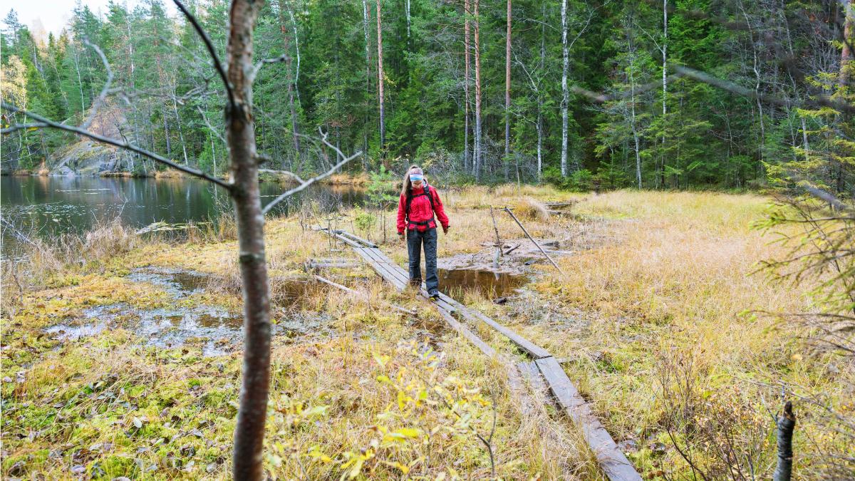 Kuvituskuva: retkeilyä suolla.