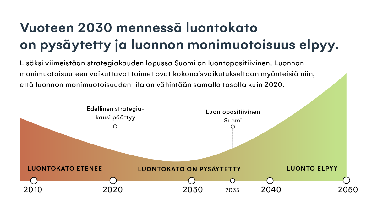 Kaavio, jossa kuvataan päätavoitetta: Kansallisen luonnon monimuotoisuusstrategian tavoitteena on, että vuoteen 2030 mennessä luontokato on pysäytetty ja luonnon monimuotoisuus elpyy. Lisäksi viimeistään strategiakauden lopussa vuonna 2035 Suomi on luontopositiivinen.