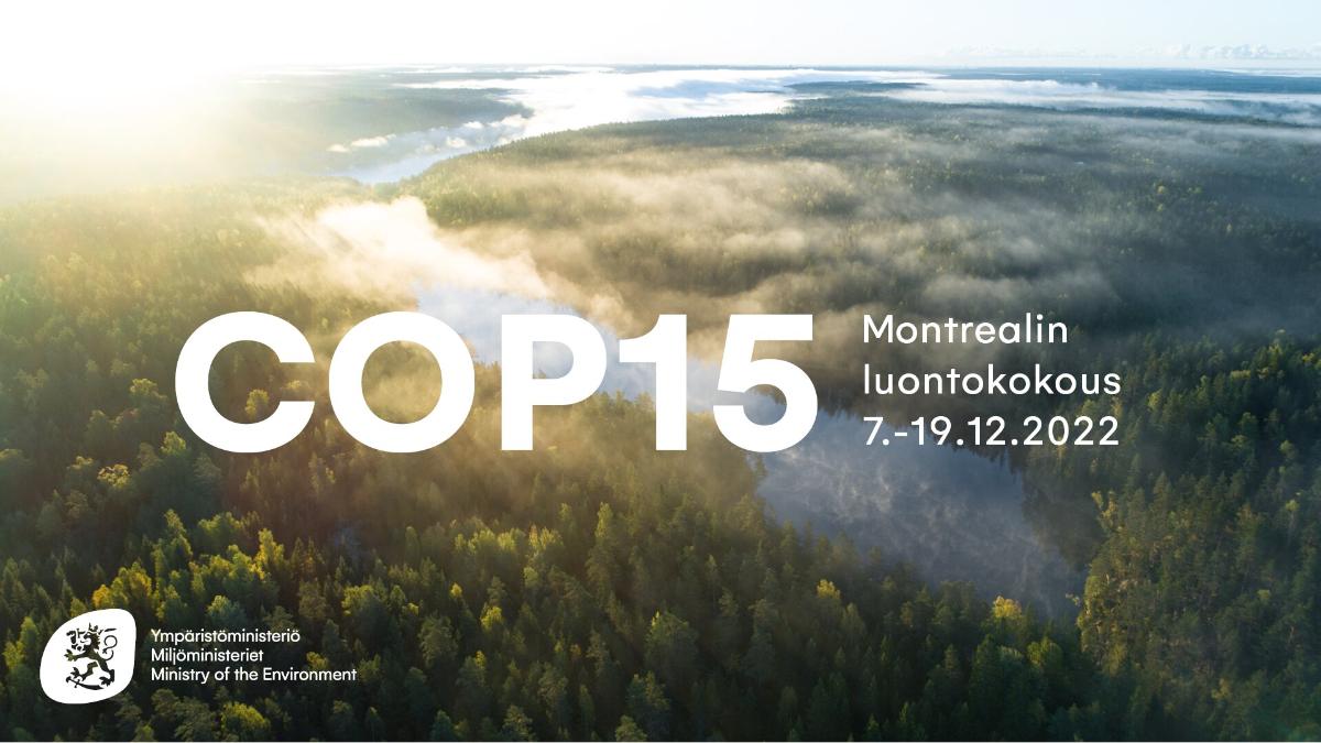 Montrealin luontokokous 7.-19.12.2022. Kuvassa sumuista metsää ylhäältä kuvattuna