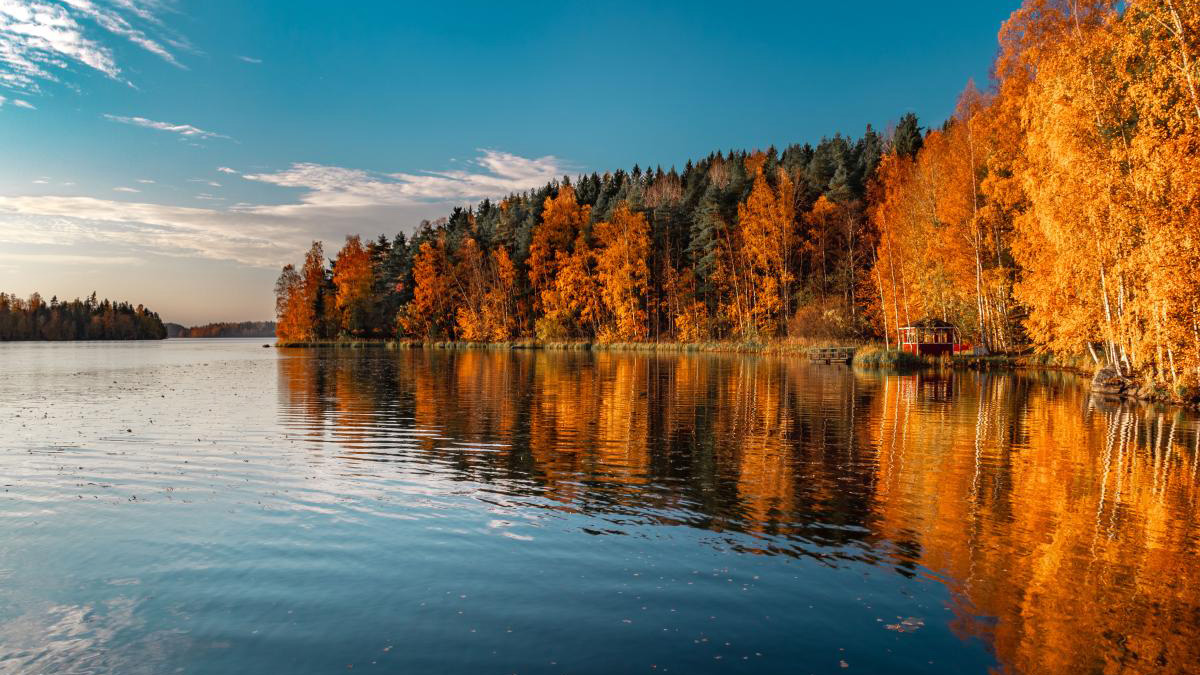 Syksyinen maisemakuva järvenrannalta