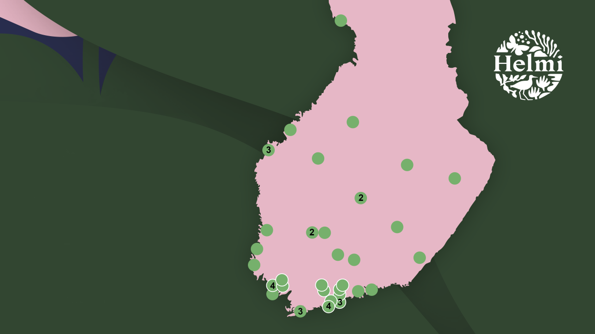 Helmi-elinympäristöohjelma rahoittaa 45 luonnonhoitohanketta kunnissa