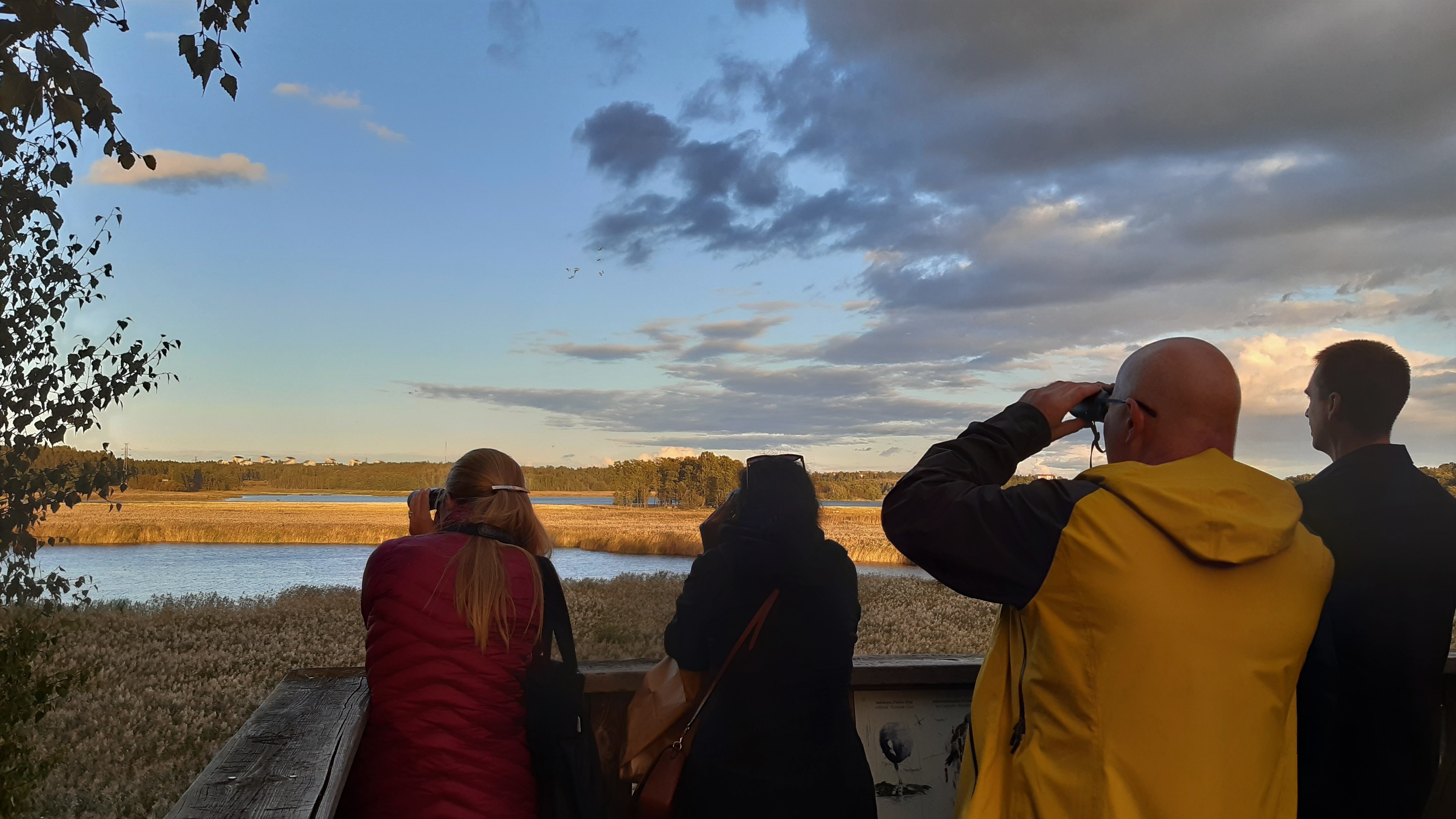 Nordefcon Policy Steering Committeen sihteeristö ja Coordination Staff bongaamassa lintuja.