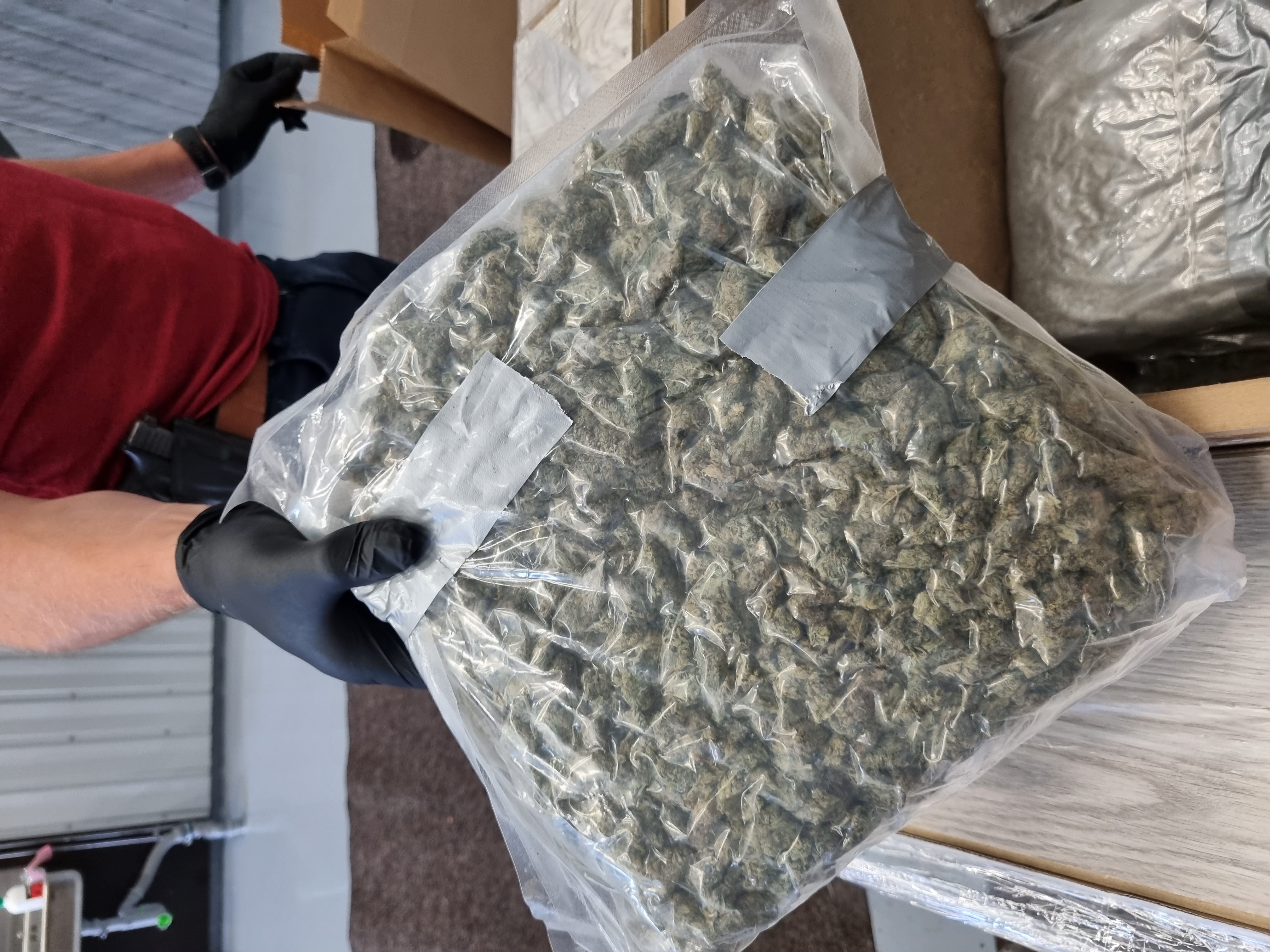Marijuana beslagtagen av polisen. Foto: Polisen.